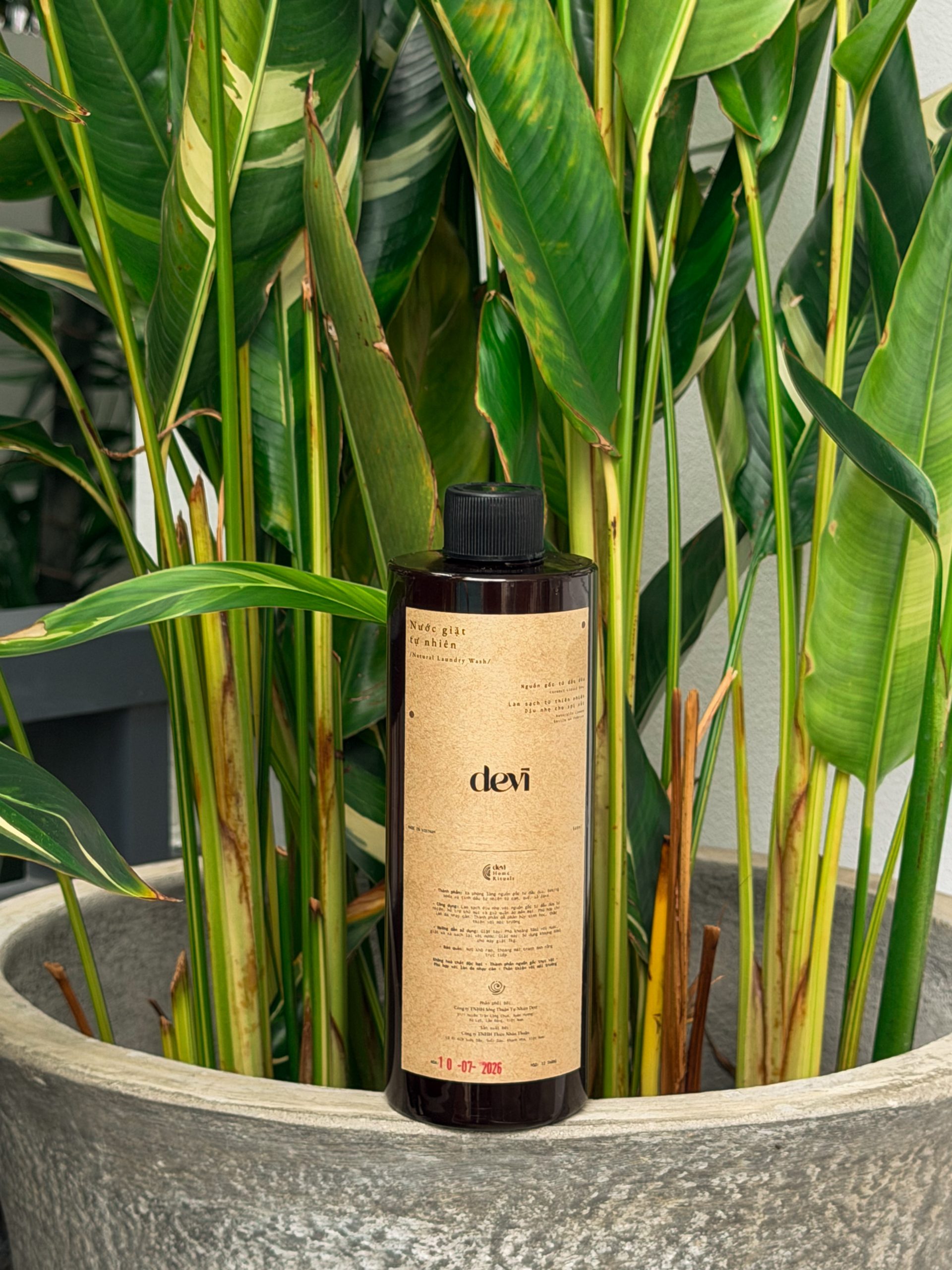 Nước giặt tự nhiên | Natural Laundry Wash - Image 3